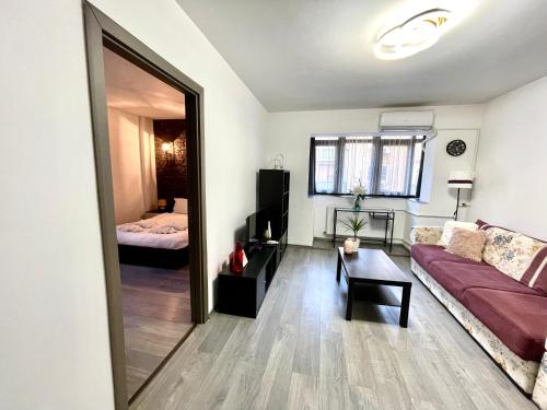 One-Bedroom Apartment image 8