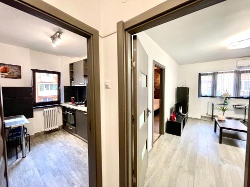 One-Bedroom Apartment image 6