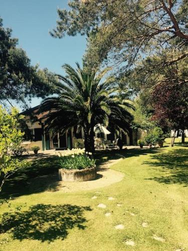 Chic Villa Guéthary: soleil- surf-amis - Location saisonnière - Saint-Jean-de-Luz