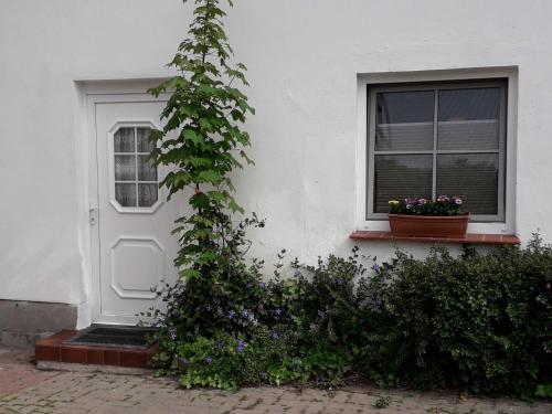 Two-Bedroom Apartment with Terrace