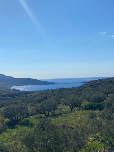 Mani Spot II Mani Spot II