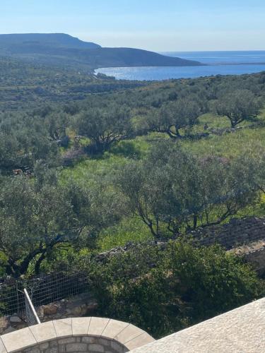 Mani Spot II Mani Spot II