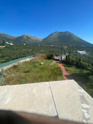 Mani Spot II Mani Spot II