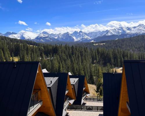Apartamenty Aries Residence Bukowina