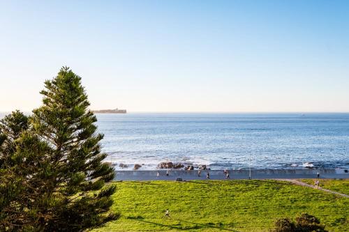 Marin - image 7