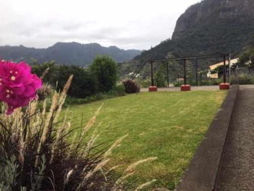 Casa Avó Alice - Remodelled Rustic House with BBQ & Garden - Perfect for Families! - image 5