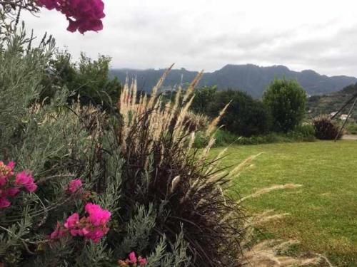 Casa Avó Alice - Remodelled Rustic House with BBQ & Garden - Perfect for Families! - image 11