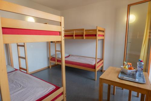 Bed in 6-Bed Dormitory Room with Shower