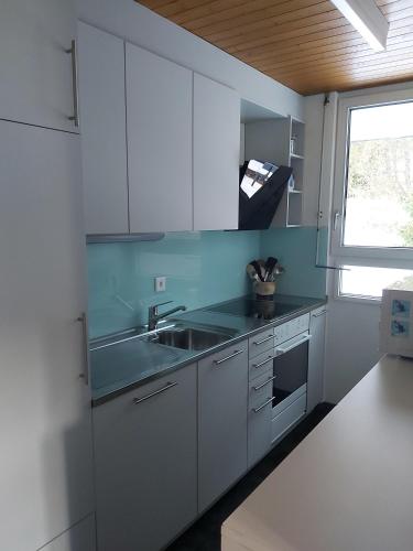 Gentiana (463 Li) 4-ZW - Apartment - Valbella