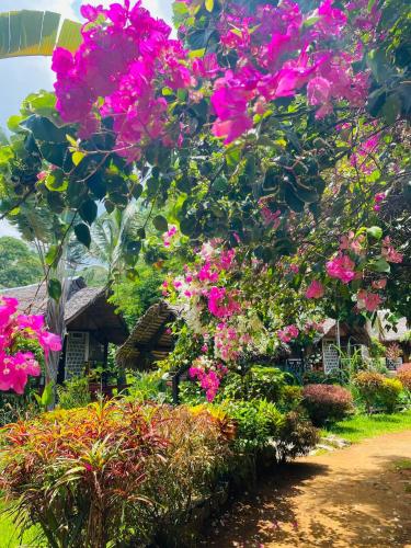 Tamarin Lodge photo 3