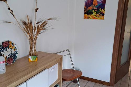 Little apartment in Dolomiti in Vigo Di Cadore