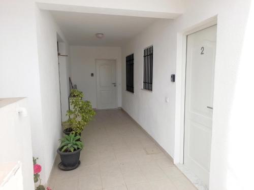Apartamentos Vista - image 5