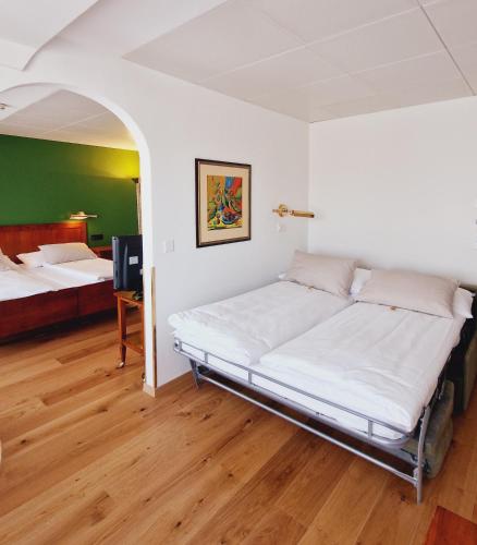 Engimatt City & Garden Hotel - image 12