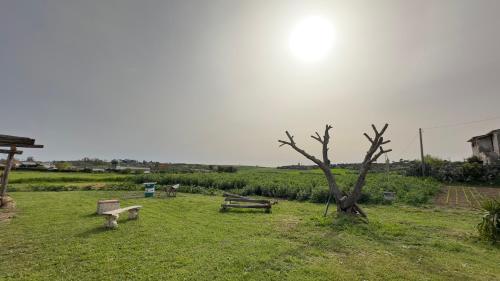 Aria di campagna mare