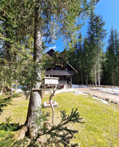 Forest Apartments Pokljuka