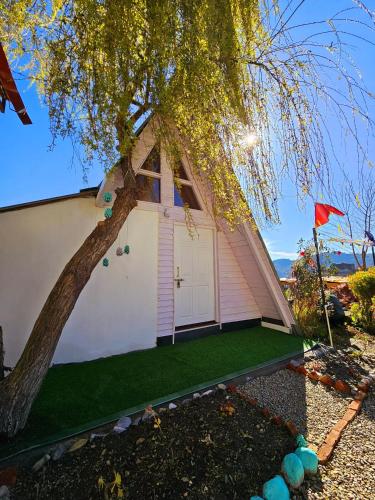 Lushtree Backpackers photo 3