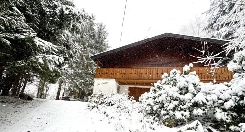 Chalet Les Airelles