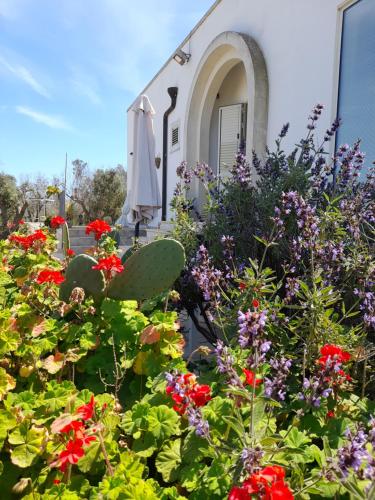 Tenuta Valle dell Idro Otranto Room Type - Triple Room with Garden View