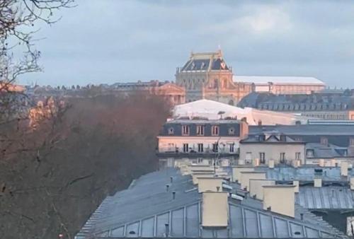 Amazing view on the Versailles Palace - Paris 15min