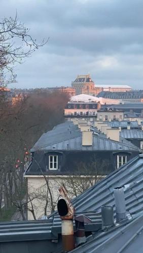 Amazing view on the Versailles Palace - Paris 15min