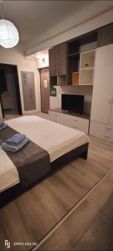 Central Flat 109 - Location saisonnière - Iaşi