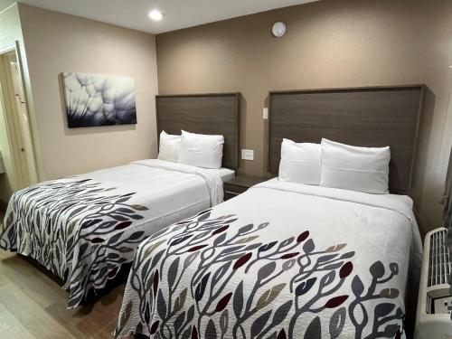 Standard Room with Two Double Beds Non-Smoking