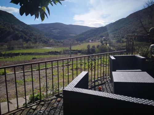 Au coeur des vignes, entre montagnes et rivière - Location saisonnière - Vieussan