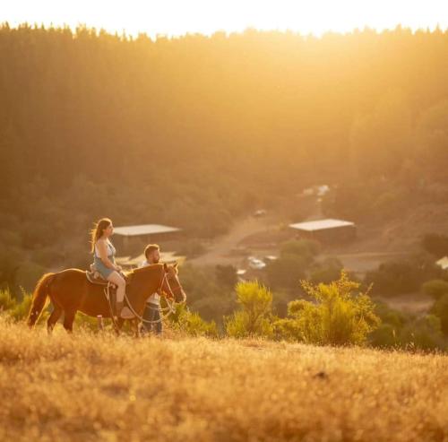 Glamping, escapada en la naturaleza