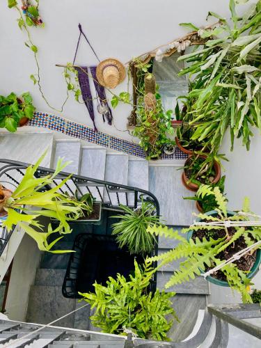Alvorada Rooms – Palermo, CA