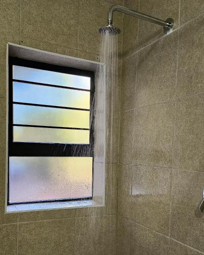 Waterlily Cove Guesthouse - image 5