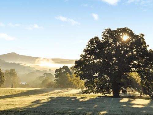 Glanusk Lodge - Uk46654