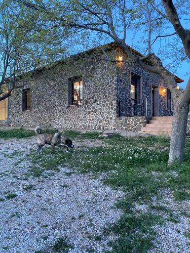 . FINCA EL CERRO