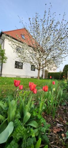 Allgäu Retreat