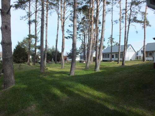 Kilátás, Bungalow 1 in Pruchten