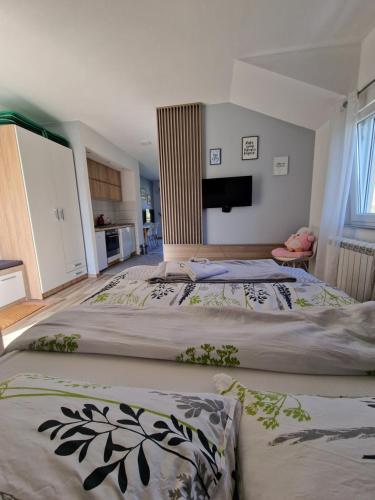 Studio Apartman Milović br-1 - image 6