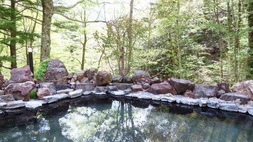 Nakanoyu Onsen Ryokan - Vacation STAY 15670v