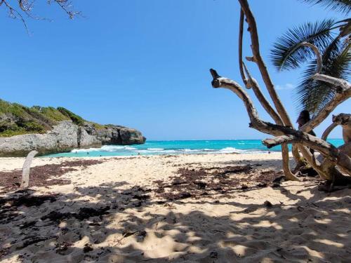 Serenity by the Sea: Ocean Front Villa with Pool, Saint Philip (fotografie 7)