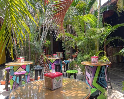 สวน, Oasis Hostel in กรานาดา