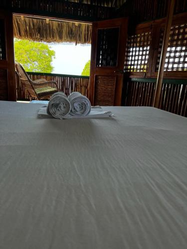 Hotel Puntanorte in Isla Tintipan