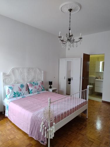 La Casa di Giulia - Apartment - Ancona