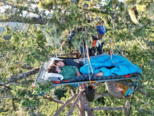 Tree Climbing at Silver Falls - 주변 환경