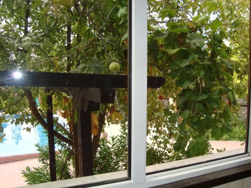 Hotel Villa Ofir - image 14