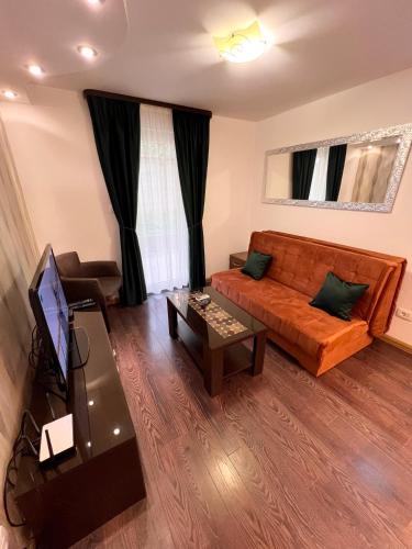 One-Bedroom Apartment image 10