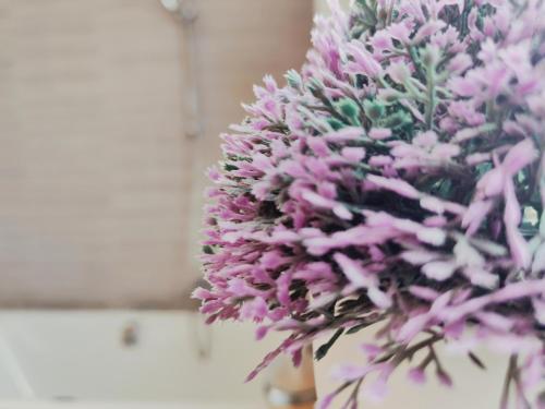 Villa CostaMare - enjoy lazy days on the private Pool-Jacuzzi