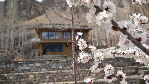 Hostel Nomads Hunza