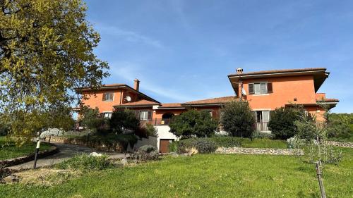 B&B Bee, Frascati (foto 2)