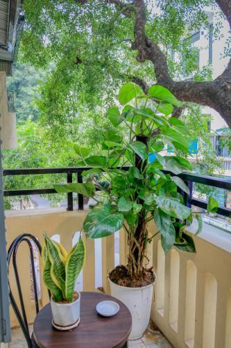 Hanoi Family Homestay - 河內