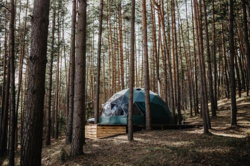 Asalnai Campsite in 伊格納利納