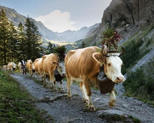 Studio - Tap to explore photos