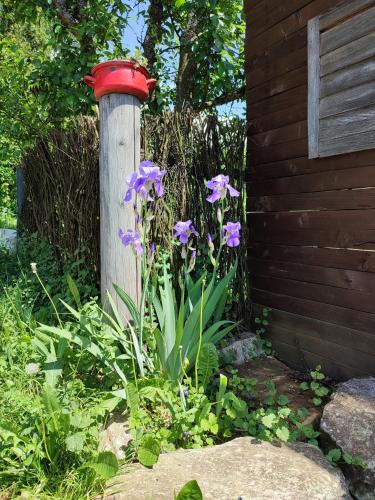 Šumarak Lodge Šumarak Lodge